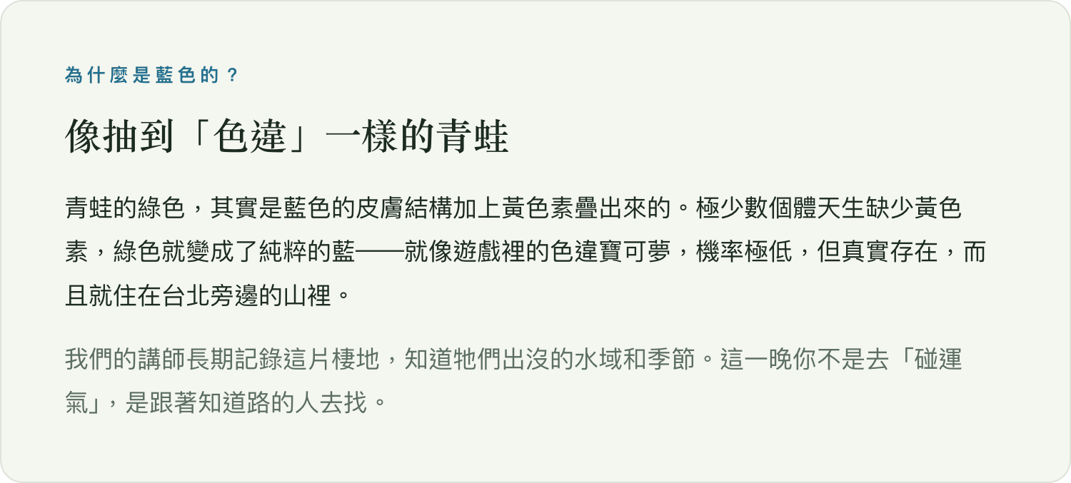 為什麼是藍色的？像抽到色違一樣的青蛙