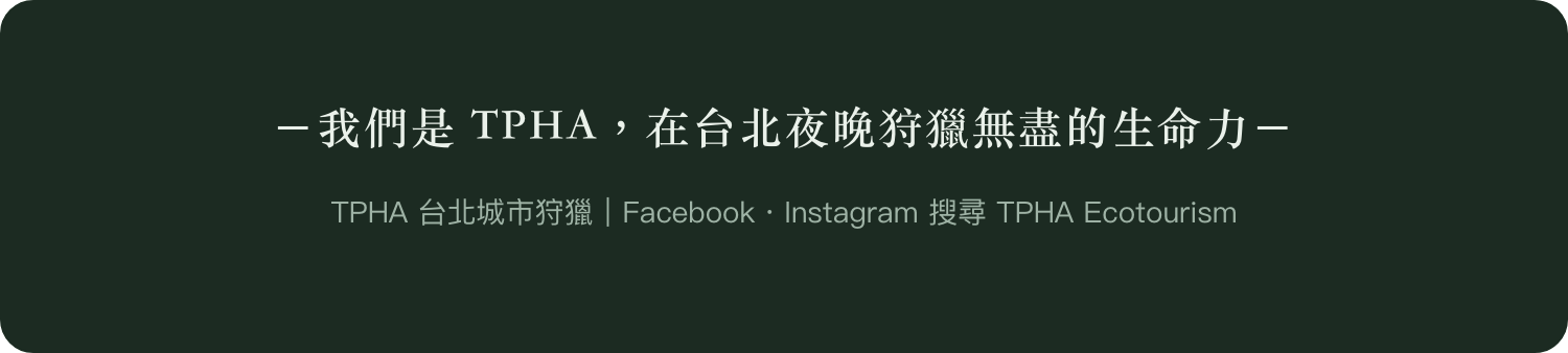我們是 TPHA，在台北夜晚狩獵無盡的生命力