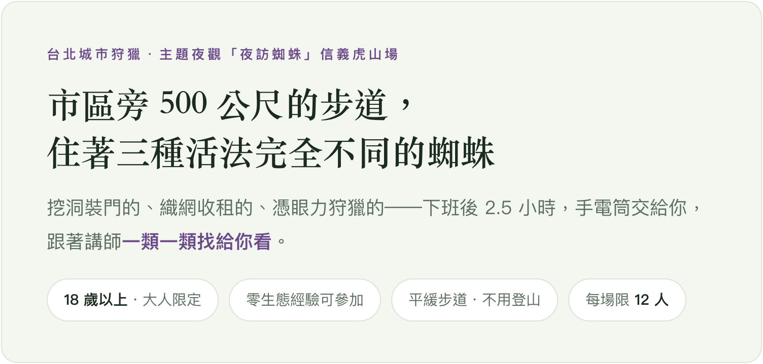 夜訪蜘蛛 虎山場:市區旁 500 公尺的步道,住著三種活法完全不同的蜘蛛