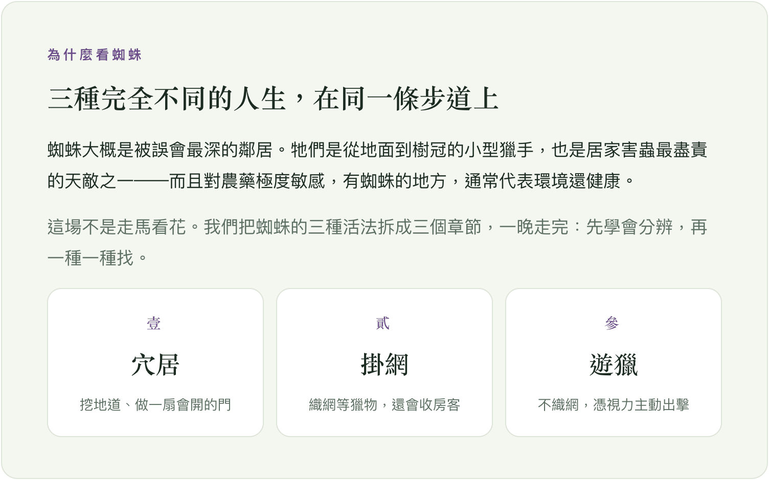 為什麼看蜘蛛:穴居、掛網、遊獵三種完全不同的人生