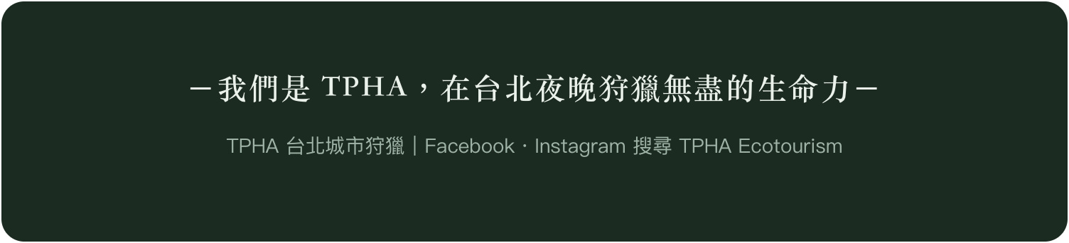 我們是 TPHA,在台北夜晚狩獵無盡的生命力