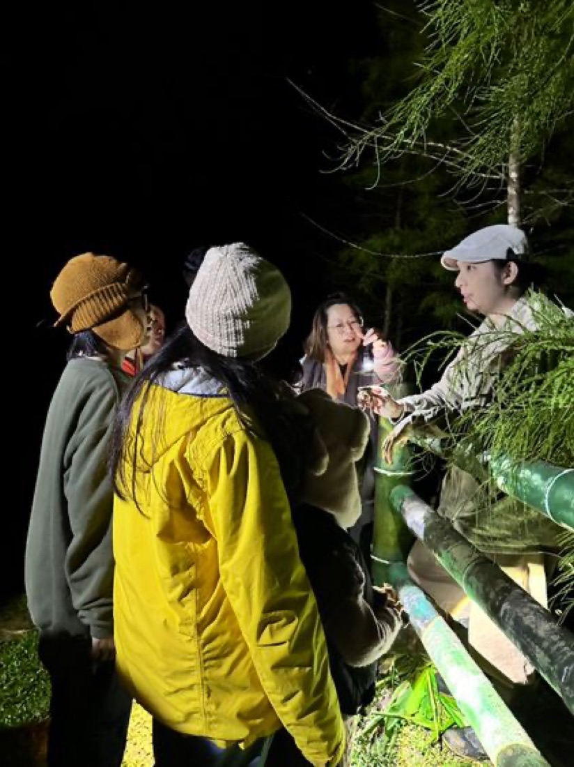 夜觀進行中