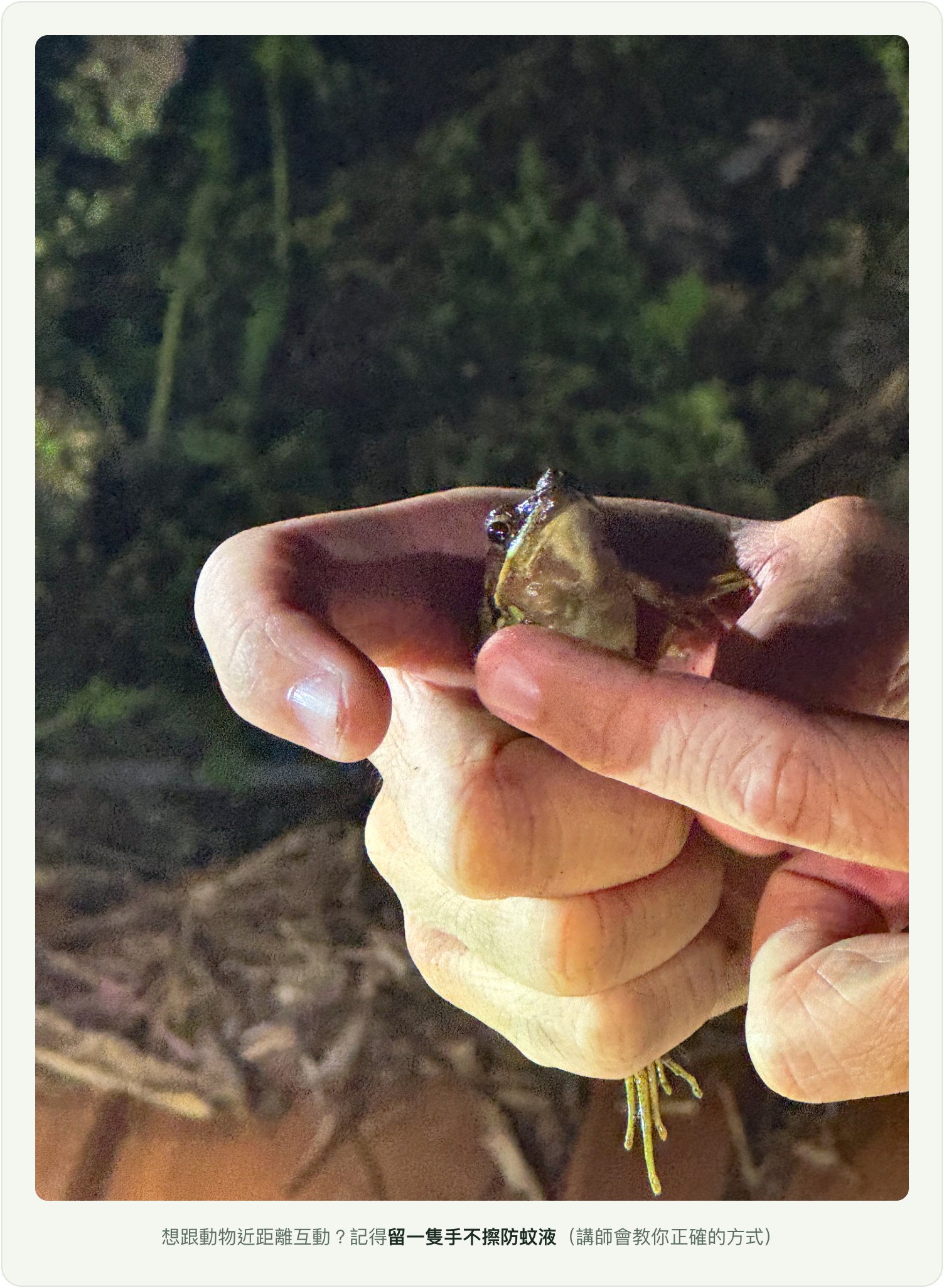 想跟動物互動？留一隻手不擦防蚊液